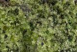 Peridot in Basalt - Arizona #324701-1
